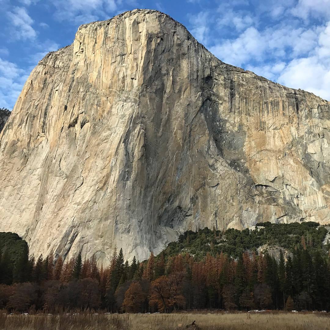 Фильм the Dawn Wall