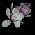 rosehelline@diaspora-fr.org